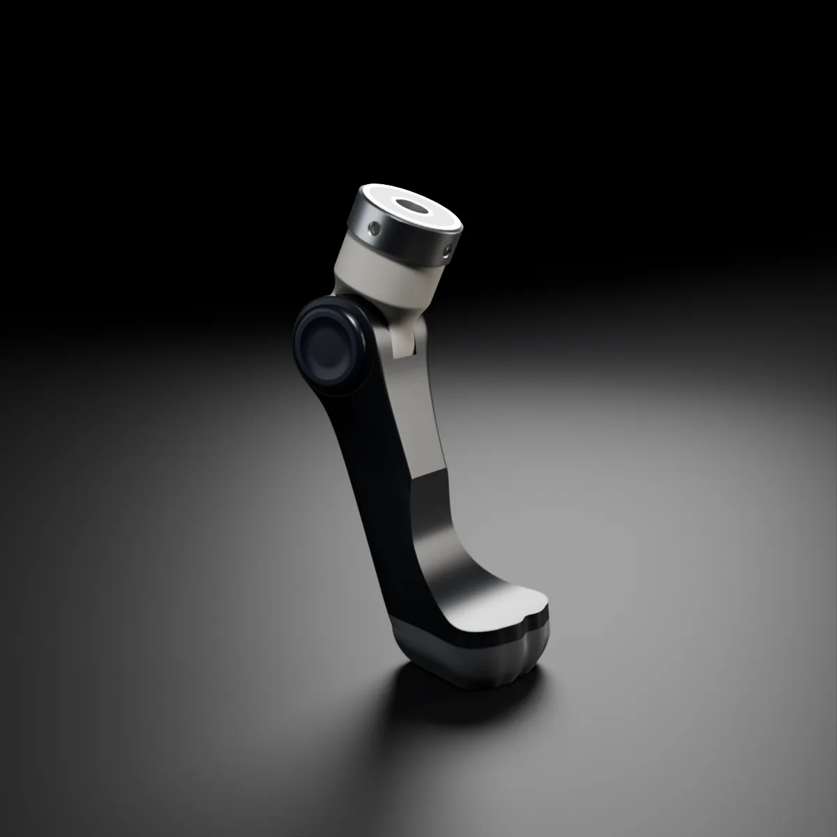 The paw in black with an ivory upper interface.